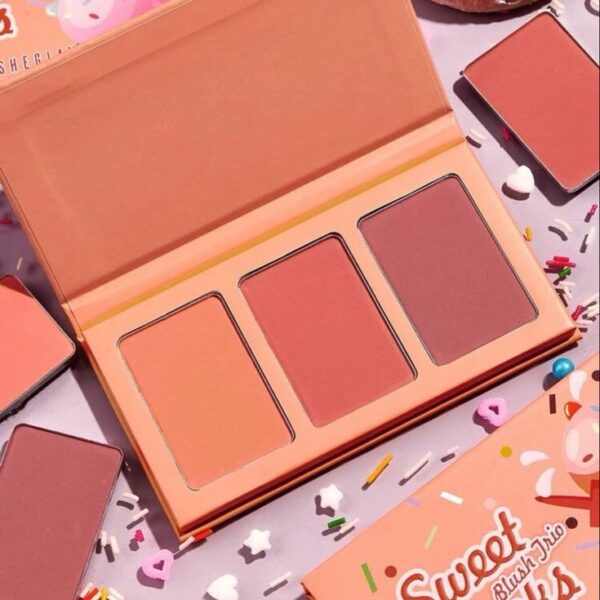 Powder Blush sheglam palette
