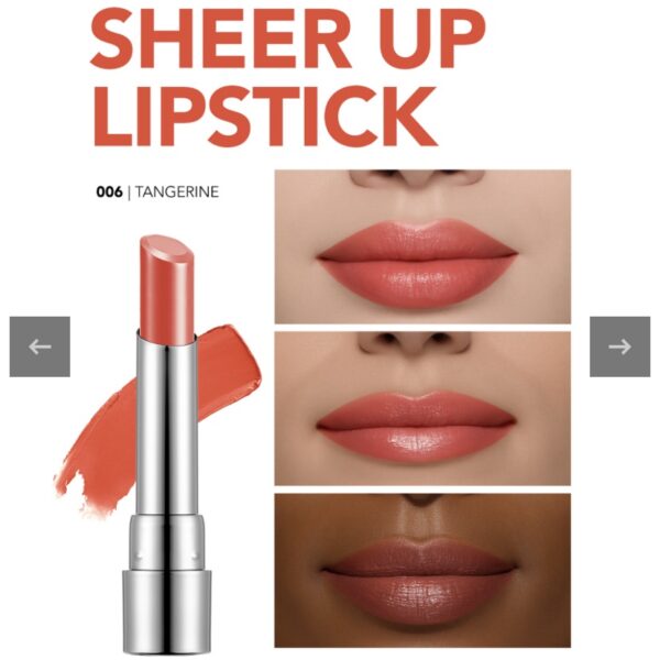 sheer up lipstick flormar